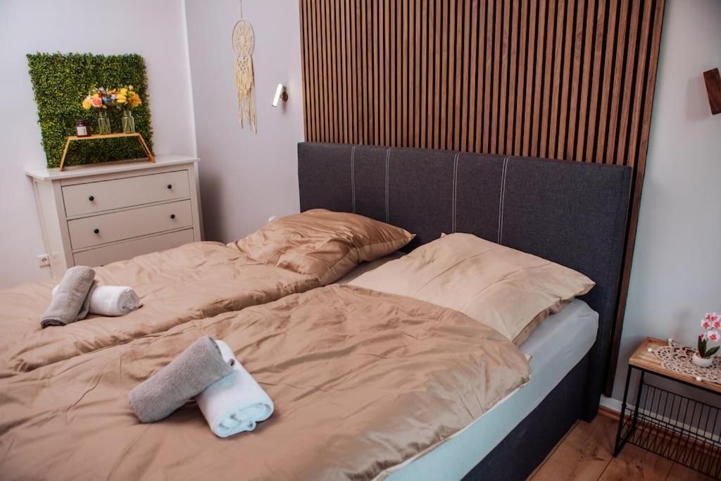 Sunny & Cozy - Netflix - Wifi - City - 4 Person Essen Exterior foto